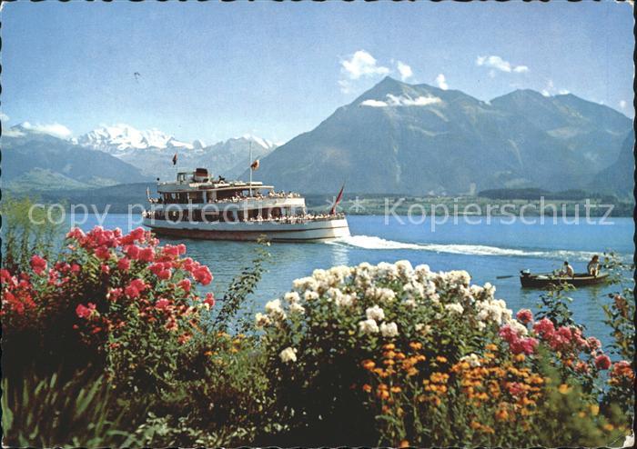 Motorschiffe Thunersee Bluemlisalp Niesen