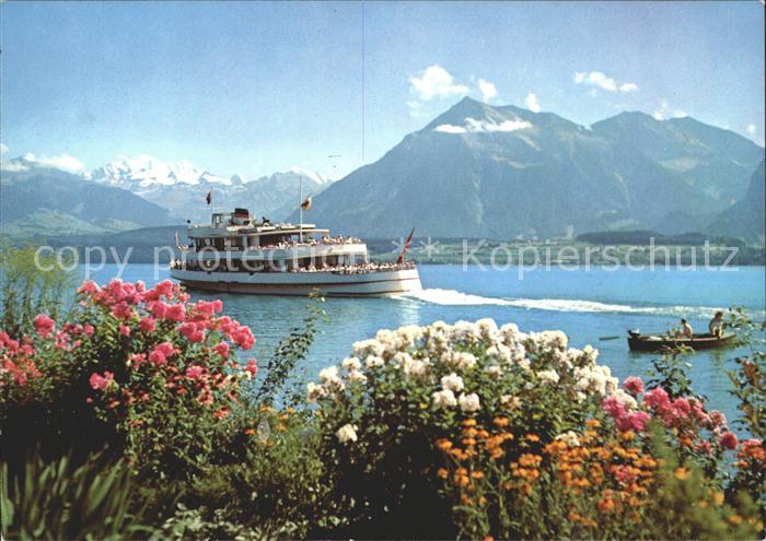 Motorschiffe Thunersee Bluemlisalp Niesen