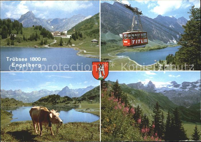 Seilbahn Engelberg Truebsee Kuh
