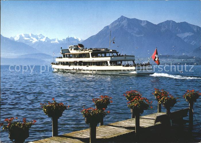 Motorschiffe Thunersee Bluemlisalp Niesen