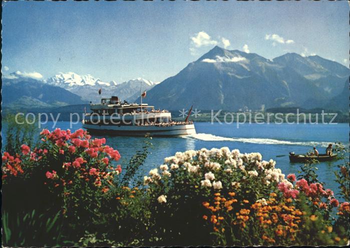 Motorschiffe Thunersee Bluemlisalp Niesen