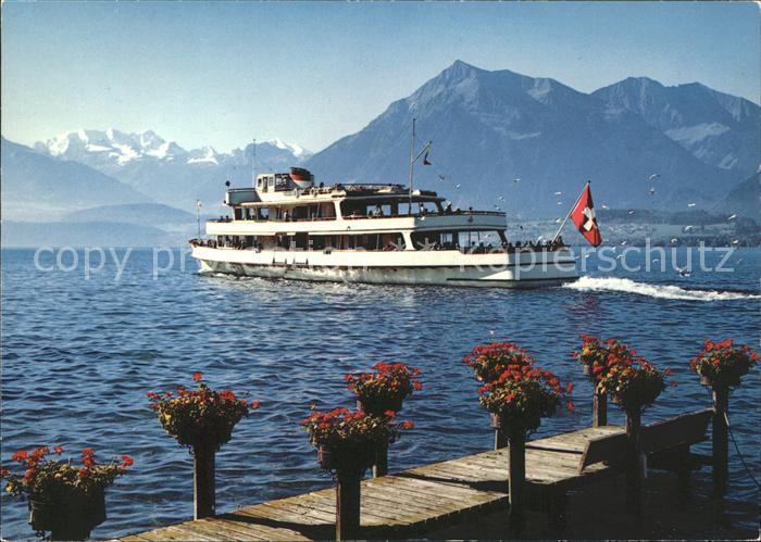 Motorschiffe Thunersee Blümlisalp Niesen