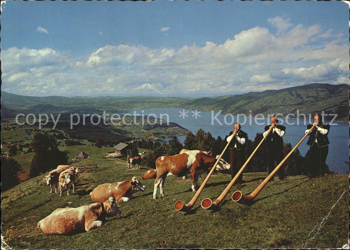 Alphorn Alphorntrio Morgebaerg Aeschiried Aeschi-Allmend Thunersee Kuehe