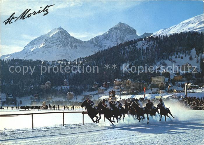 Pferdesport Pferderennen Reitsport St. Moritz St. Moritzersee