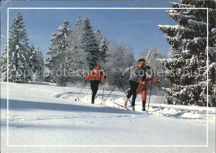 Ski-Langlauf