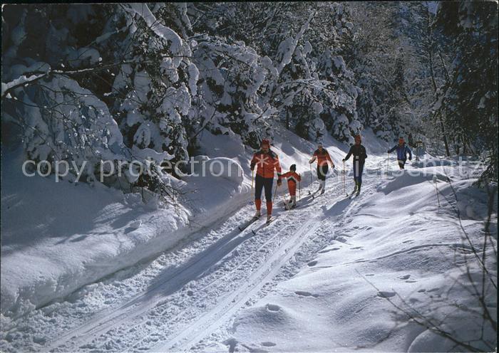 Ski-Langlauf Skiwandern