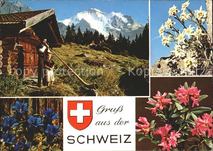 Alphorn Alphornblaeser Edelweiss Enzian Alpenrosen