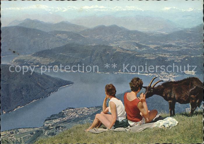 Ziege Monte Rosa Walliser- und Berner Alpen L