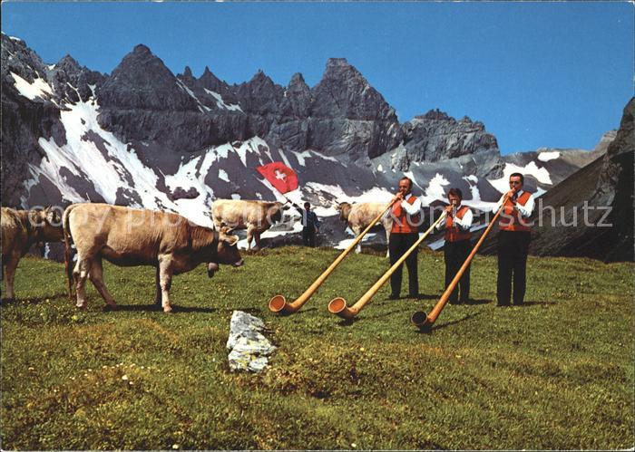 Alphorn Alphornblaeser Fahnenschwinger Kuehe
