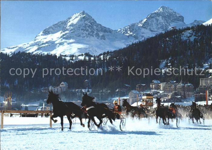Pferdesport Pferderennen Reitsport St. Moritz Piz Albana Piz Julier