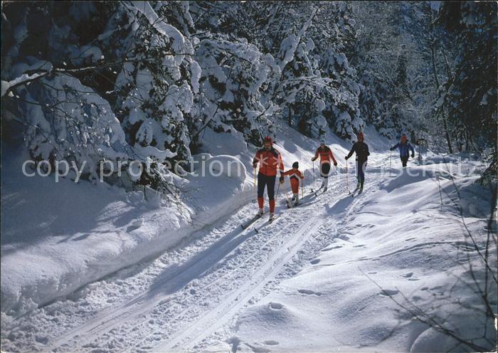 Ski-Langlauf Skiwandern