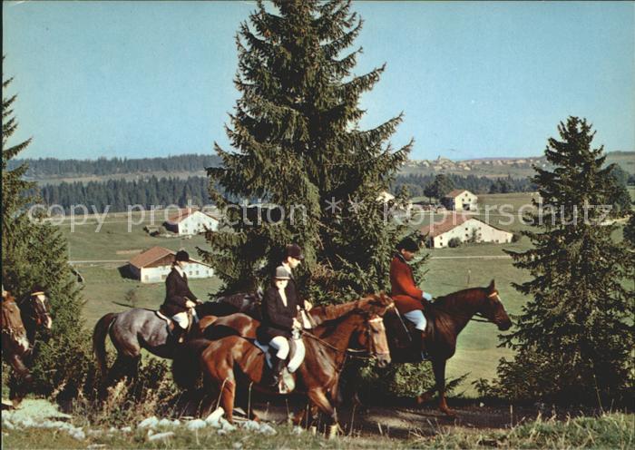 Reitsport Pferdesport Pferderennen Franches-Montagnes