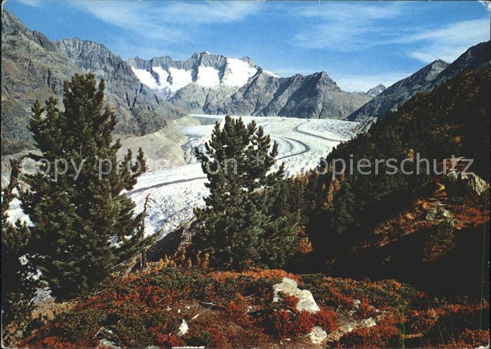 Gletscher Grosser Aletschgletscher Wannenhorn Egg