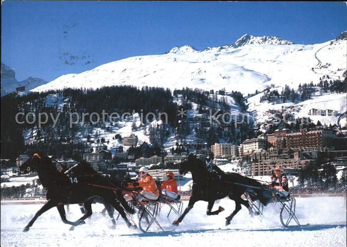 Pferdesport Pferderennen Reitsport St. Moritzer See