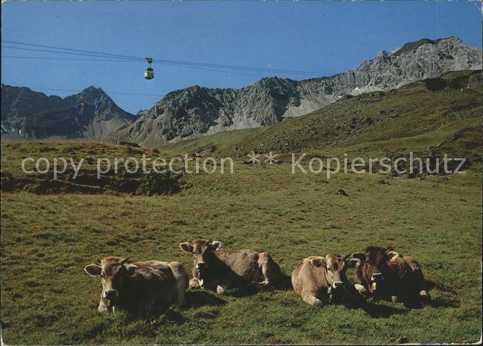 Kuehe Arosa Seilbahn