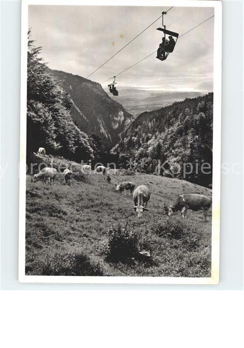 Sessellift Weissenstein Kuehe Seeland