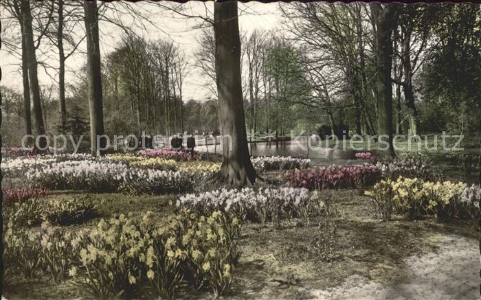 Niederlande Park Hollaendische Blumenzwiebeln