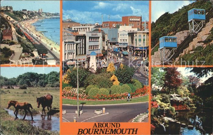 Bournemouth Alum Chine West Cliff New Forest Ponies Town Centre Compton Acres