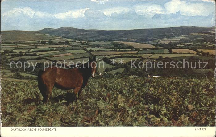 Dartmoor above Poundsgate