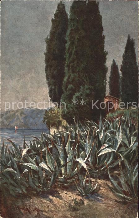Lago di Garda Agaven bei San Vigilio