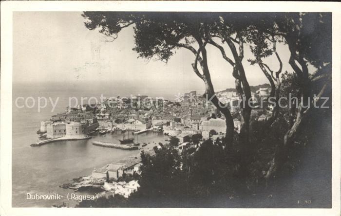 Dubrovnik Ragusa Panorama