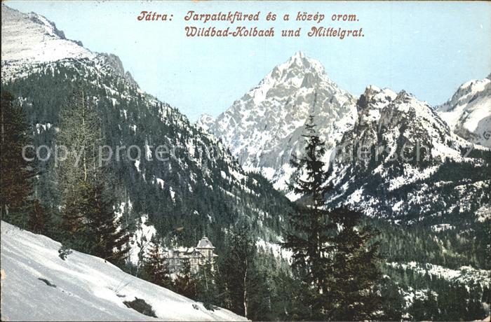 Kolbachtal Wildbad Kolbach und Mittelgrat
