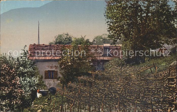 Layen Laion Lajen Groednertal Vogelweider Hof