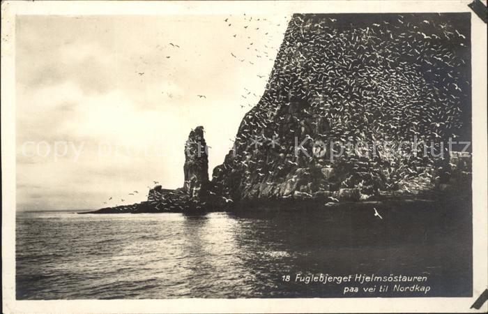 Nordkap Norge Fuglebjerget Hjelmsoestauren
