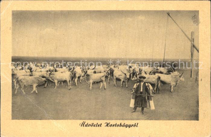 Hortobagy uedvoezlet Hortobagyrol