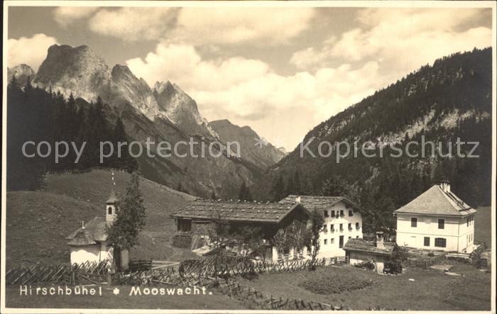 Hirschbuehel-Mooswacht Teilansicht