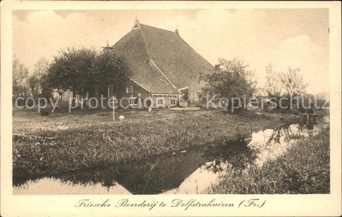 Niederlande Friesche Beerderij te Dolfstrahuizen