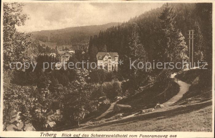 Triberg Schwarzwald Schwarzwaldhotel Blick vom Panoramaweg