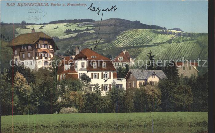 Bad Mergentheim mit Frauenberg