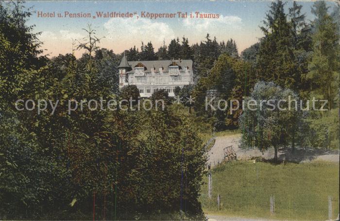 Wehrheim Hotel Pension Waldfriede Koepperner Tal
