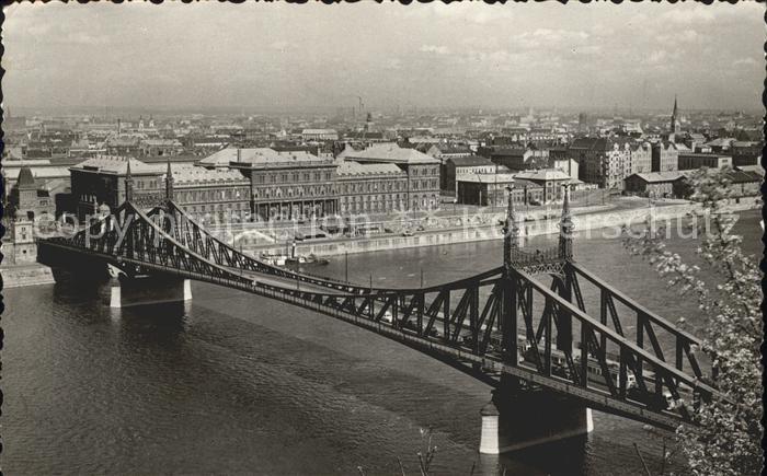 Budapest Szabadsaghid Freiheitsbrücke Donau