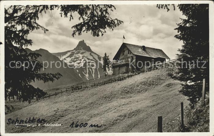 Adelboden Frutigen BE Schnitten Huette