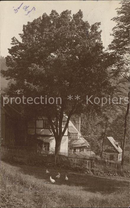 DRESDEN Elbe Baeuerliches Anwesen Huehner