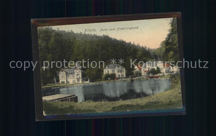 Pillnitz Partie beim Friedrichsgrund Teich