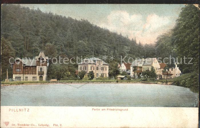 Pillnitz Partie am Friedrichsgrund Teich
