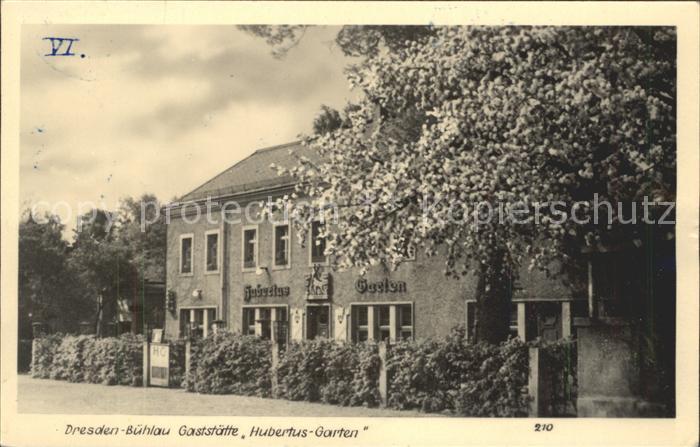 Buehlau Dresden Gaststaette Hubertus Garten Baumbluete