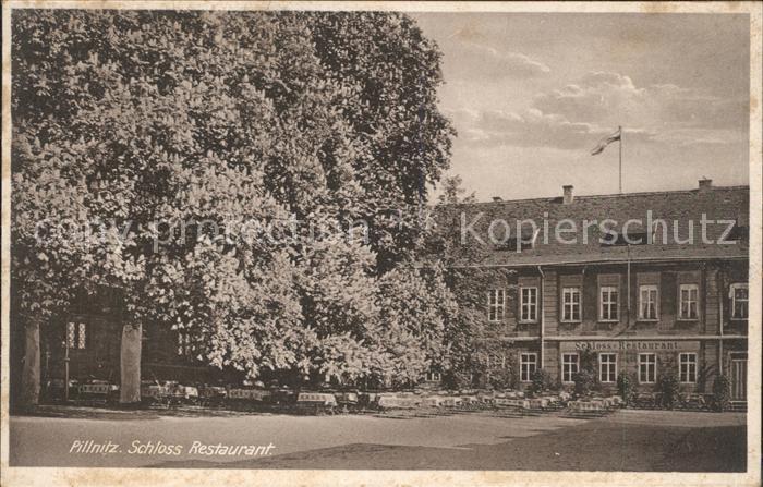 Pillnitz Schloss Restaurant Alter Baum Baumbluete