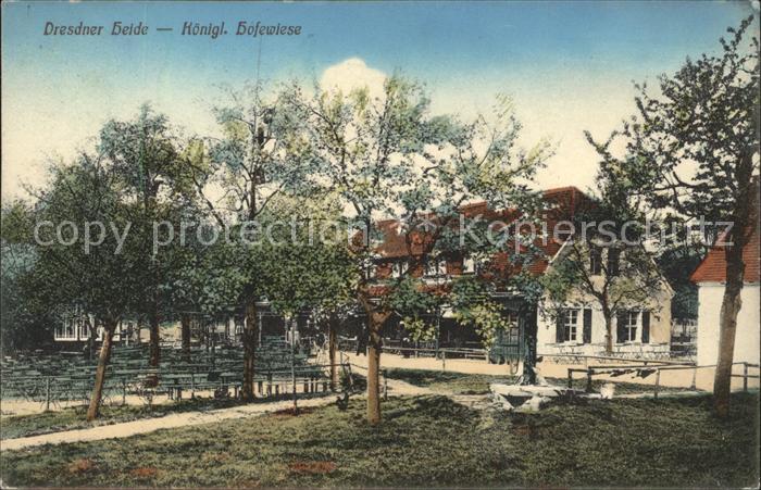 DRESDEN Elbe Koenigliche Hofewiese Dresdner Heide