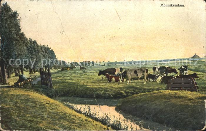 Monnickendam Panorama Landschaft Viehweide Kuehe