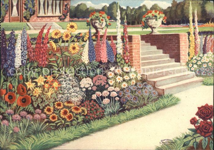Hillegom L. Stassen Junior AG Blumenzwiebeln Sta