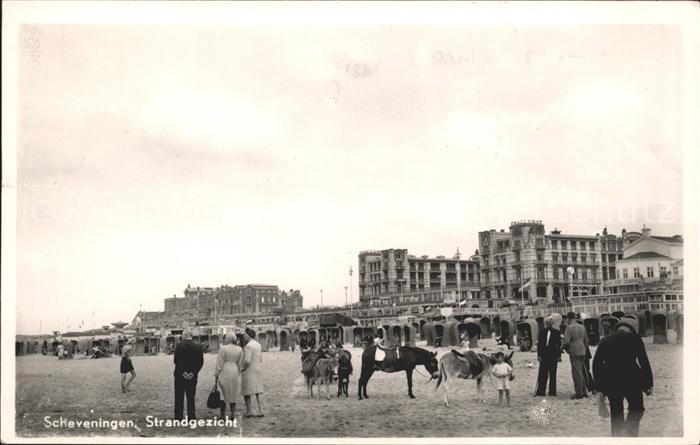 Scheveningen Strandgezicht Esel Hotels