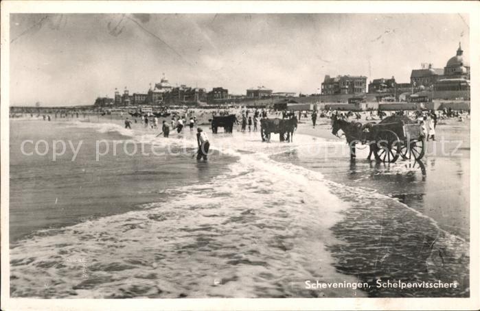 Scheveningen Schelpenvisschers
