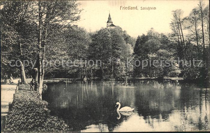 Friedland Boehmen Schlossteich Schwan
