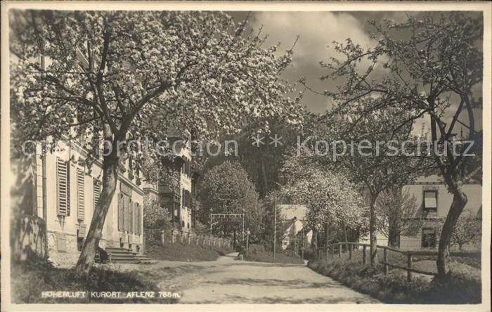 Aflenz Steiermark Strassenpartie Baumbluete Hoehenluftkurort