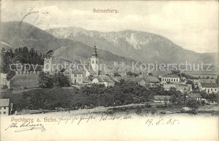 Puchberg Schneeberg Ortsansicht mit Kirche