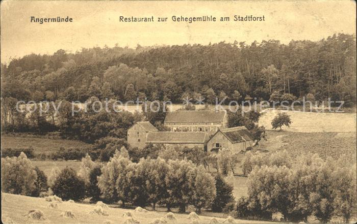 Angermuende Restaurant zur Gehegemuehle am Stadtforst
